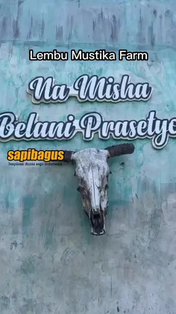 Lembu-Mustika-Farm